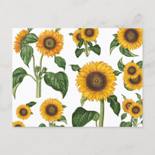Cartes Pour Fêtes Annuelles Aquarelle Fleurs de soleil Botanique Foliage Verdu