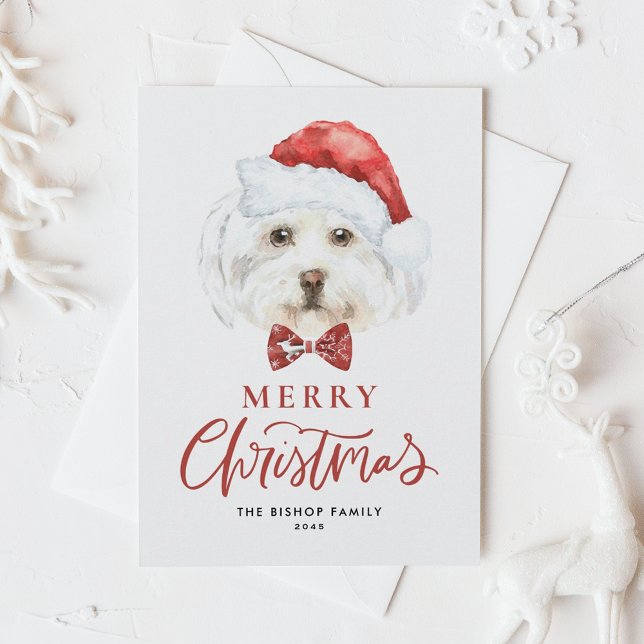 Cartes Pour Fêtes Annuelles Aquarelle mignonne Maltese Père Noël Joyeux Noël (Créateur téléchargé)