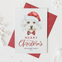 Aquarelle mignonne Maltese Père Noël Joyeux Noël