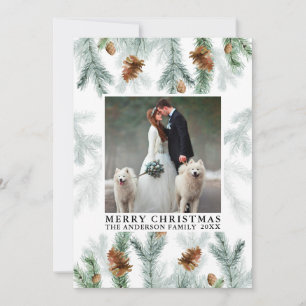 Cartes Pour Fêtes Annuelles Aquarelle Pine Cône Vert Photo Noël