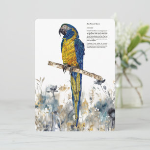 Cartes Pour Fêtes Annuelles Aquarelles de Macaw à couche bleue en voie de disp