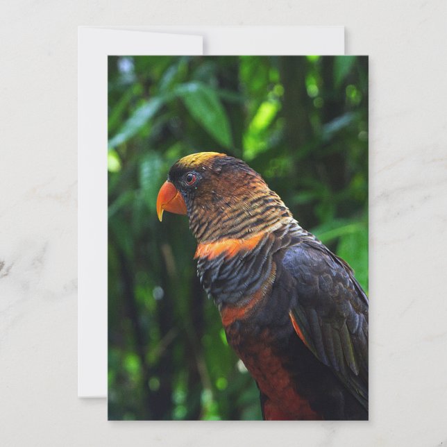 Cartes Pour Fêtes Annuelles Ara (Devant)