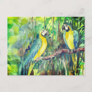Cartes Pour Fêtes Annuelles Aras bleus et jaunes, amis oiseaux