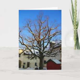 Cartes Pour Fêtes Annuelles arbre à neige salzburg