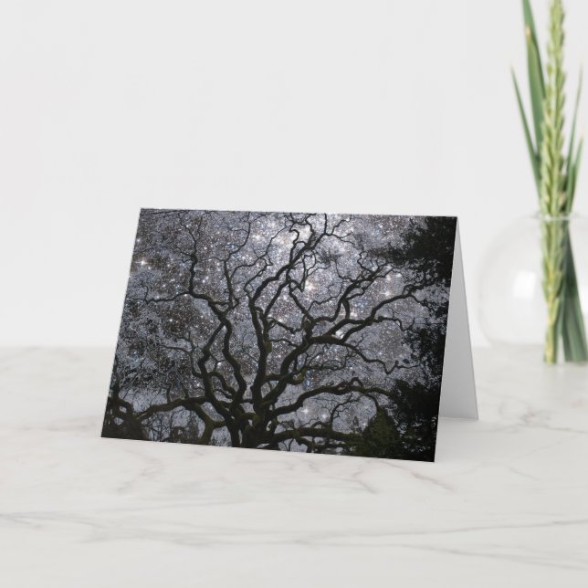 Cartes Pour Fêtes Annuelles Arbre cosmique - groupe d'étoile (Devant)