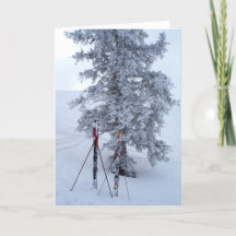 Arbre couvert de neige et ski