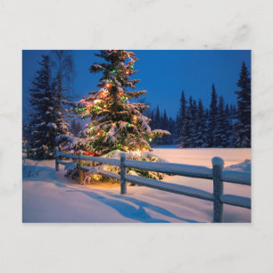 Cartes Pour Fêtes Annuelles Arbre de Noël brillant à Anchorage