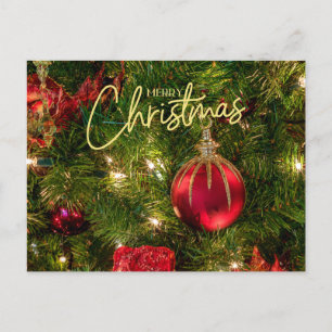 Cartes Pour Fêtes Annuelles Arbre de Noël coloré et ornements