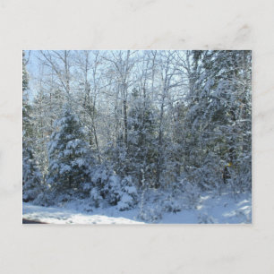 Cartes Pour Fêtes Annuelles Arbre de Noël couvert de neige