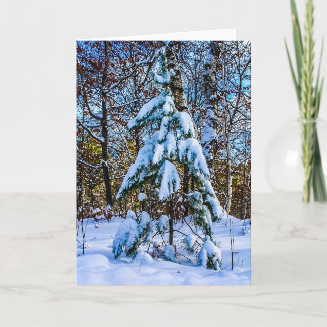 Cartes Pour Fêtes Annuelles Arbre de Noël dans la forêt (Devant)