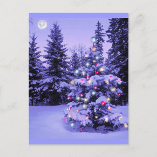 Cartes Pour Fêtes Annuelles Arbre de Noël dans la forêt