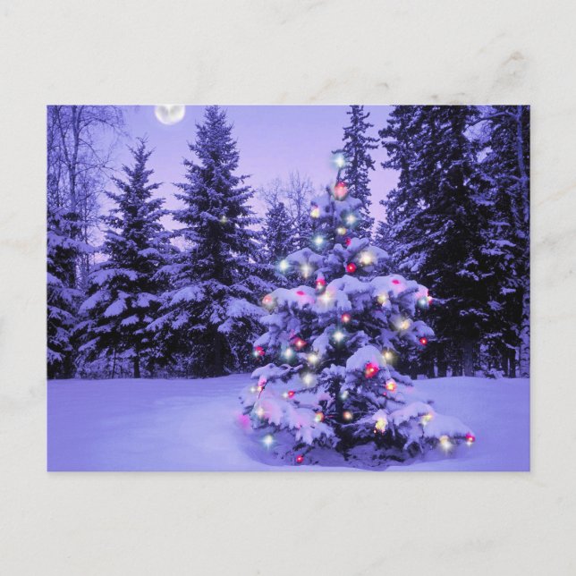 Cartes Pour Fêtes Annuelles Arbre de Noël dans la forêt (Devant)