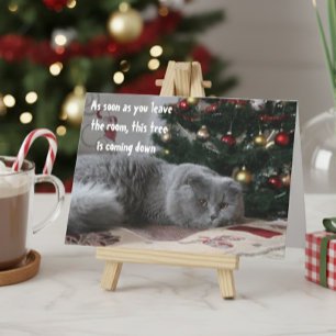 Cartes Pour Fêtes Annuelles Arbre de Noël de chat drôle et en colère