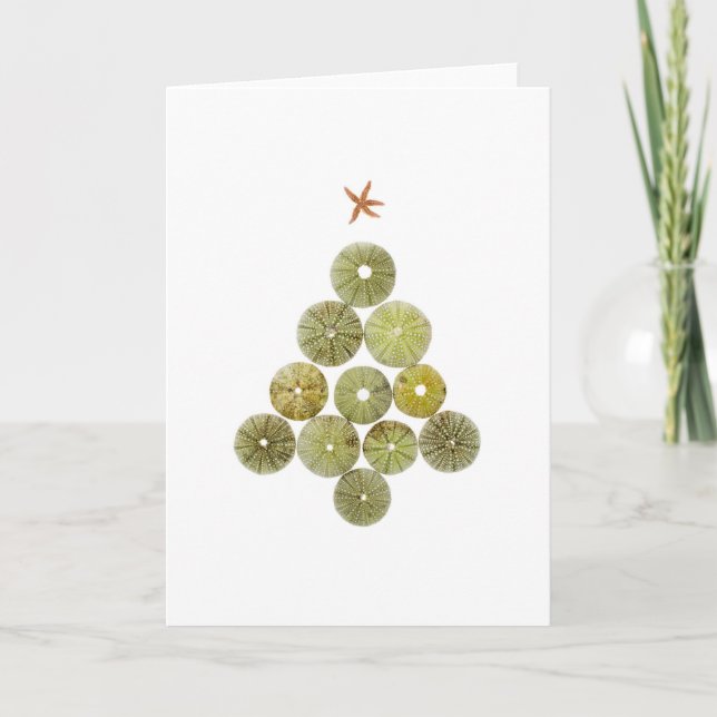 Cartes Pour Fêtes Annuelles Arbre de Noël d'oursin (Devant)