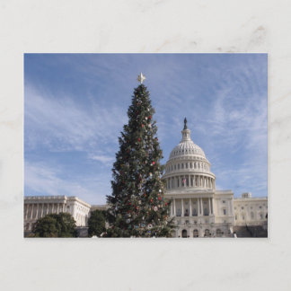 Cartes Pour Fêtes Annuelles Arbre de Noël du Capitole américain