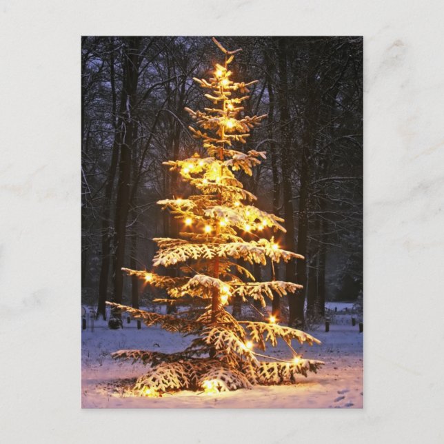 Cartes Pour Fêtes Annuelles Arbre de Noël neigeux lumineux dans les bois à n (Devant)