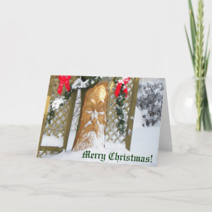 Cartes Pour Fêtes Annuelles Arbre de Noël Old Man