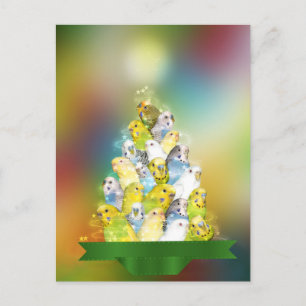 Cartes Pour Fêtes Annuelles Arbre de Noël Parakethe