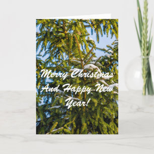 Cartes Pour Fêtes Annuelles Arbre De Noël Vert En Neige