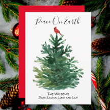 Arbre de pin vert cardinal rouge Paix sur Terre Pe