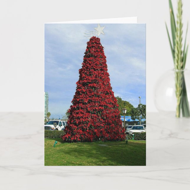 Cartes Pour Fêtes Annuelles Arbre de poinsettia de Noël à San Diego (Devant)
