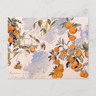Cartes Pour Fêtes Annuelles Arbres à fruits - Edward Lear