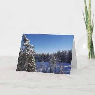 Cartes Pour Fêtes Annuelles Arbres Couverts De Neige De Noël En Forêt D'Hiver