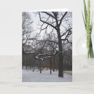 Cartes Pour Fêtes Annuelles Arbres dans la neige I