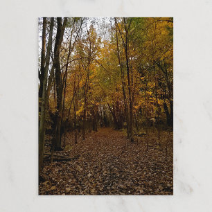 Cartes Pour Fêtes Annuelles Arbres d'automne au coucher du soleil Taylor Michi