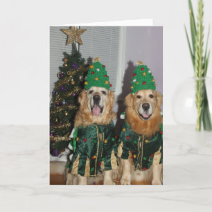 Cartes Pour Fêtes Annuelles Arbres de Noël de golden retriever