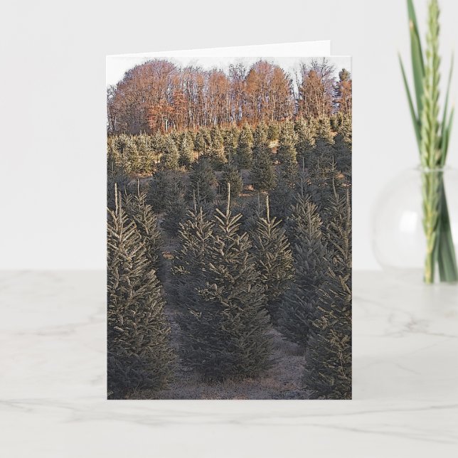 Cartes Pour Fêtes Annuelles Arbres de Noël de la Caroline du Nord (Devant)