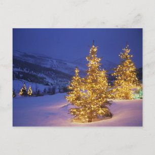 Cartes Pour Fêtes Annuelles Arbres de Noël, Park City, montagnes de Wastch,