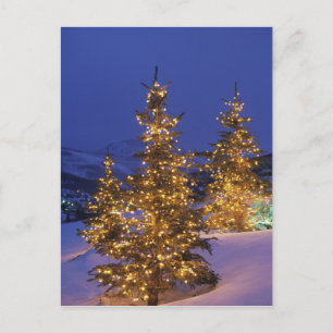 Cartes Pour Fêtes Annuelles Arbres de Noël, Park City, Wastch Mountains, 2