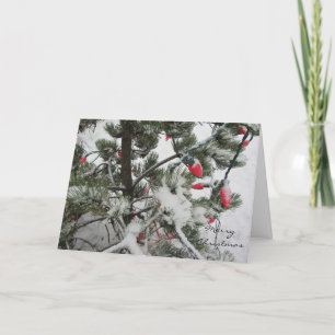Cartes Pour Fêtes Annuelles Arbres d'hiver chargés de neige