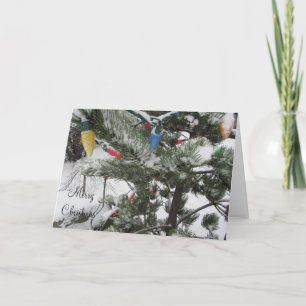 Cartes Pour Fêtes Annuelles Arbres enneigés avec des lumières de Noël