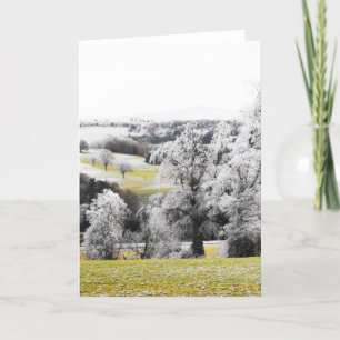 Cartes Pour Fêtes Annuelles Arbres et collines givrés
