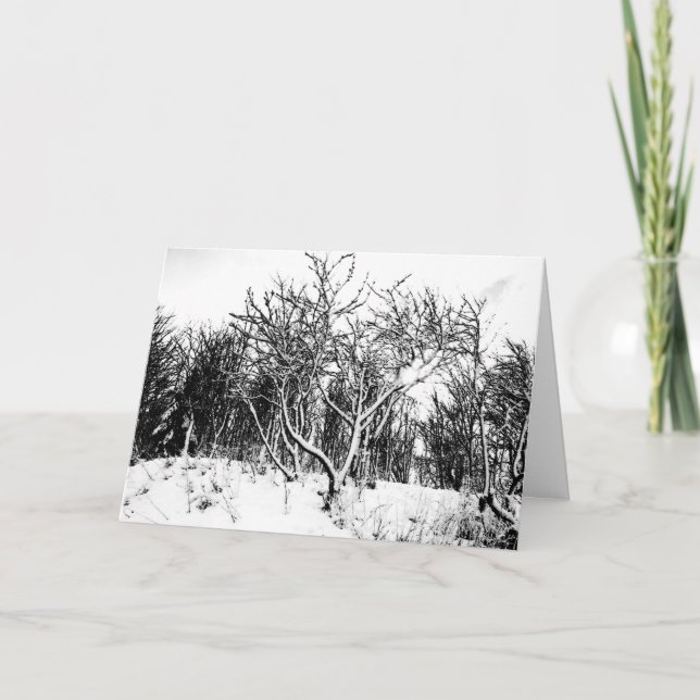 Cartes Pour Fêtes Annuelles Arbres et scène de neige, noir et blanc (Devant)