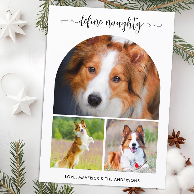 Cartes Pour Fêtes Annuelles Arch Définir Naughty Pet Photo Collage Noël (Créateur téléchargé)