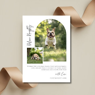 Cartes Pour Fêtes Annuelles Arch Photo Définir Naughty Funny Chien Noël