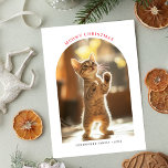 Cartes Pour Fêtes Annuelles Arch Photo Meowny Noël Rouge Naughty Cute Cat<br><div class="desc">Célébrez les fêtes avec un carte photo d'arc "Meowy Christmas" ludique en rouge vif. Cette carte coquine au thème du chat présente une photo mignonne et drôle, parfaite pour partager la joie festive. Avec une typographie moderne élégante et un design arche charmant, c'est une façon idéale d'envoyer un joyeux Noël...</div>