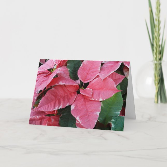Cartes Pour Fêtes Annuelles Argent Star Marbre Poinsettias Pink Holiday Floral (Devant)