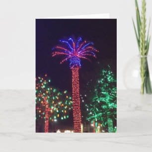 Cartes Pour Fêtes Annuelles Arizona Lighted Palm Tree Christmas Card