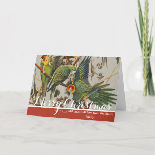 Cartes Pour Fêtes Annuelles Art ancien d'oiseau, Perruche de Caroline, d'Audub