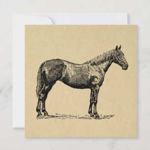 Cartes Pour Fêtes Annuelles Art Cheval vintage Illustré Art équestre