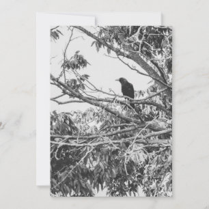 Cartes Pour Fêtes Annuelles art gothique américain stylisé à contraste élevé