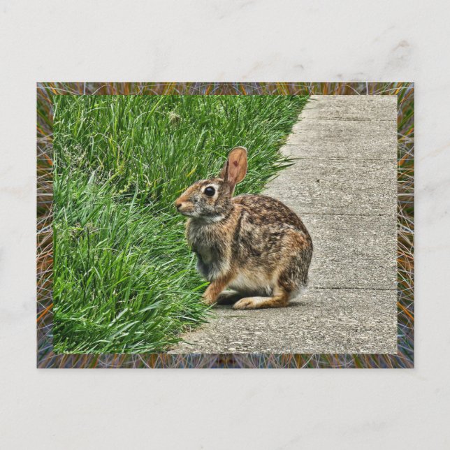 Cartes Pour Fêtes Annuelles Art lapin (Devant)