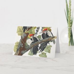 Cartes Pour Fêtes Annuelles Art vintage d'Audubon représentant un Pic à tête r