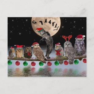Cartes Pour Fêtes Annuelles Asio dancing with Owls on Christmas Eve