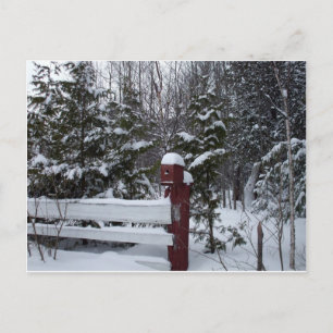 Cartes Pour Fêtes Annuelles Attente de Noël-Bird House