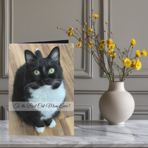 Cartes Pour Fêtes Annuelles Au meilleur chat maman toujours personnalisé photo